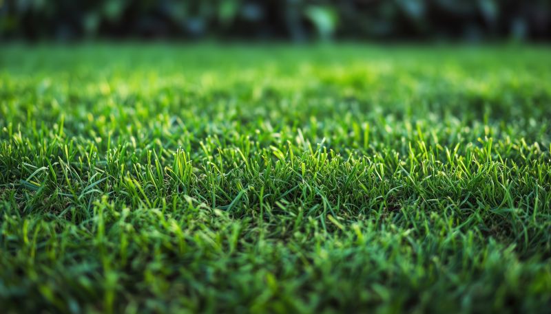 Turfing Service in Ventura County, CA